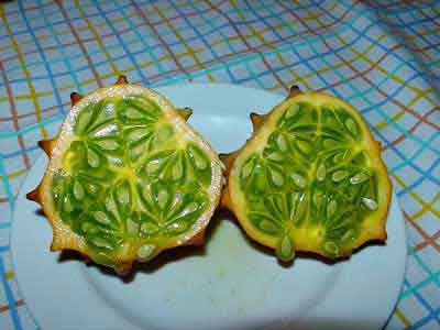  Kiwano