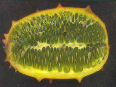 Kiwano