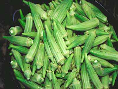  Okra