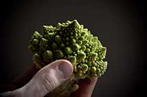 romanesco