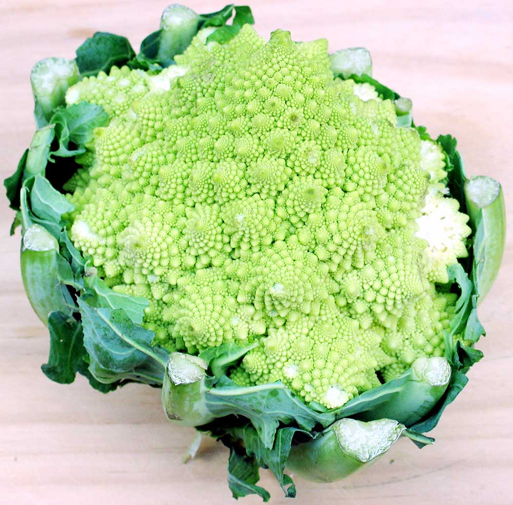 romanesco by Donovan Govan