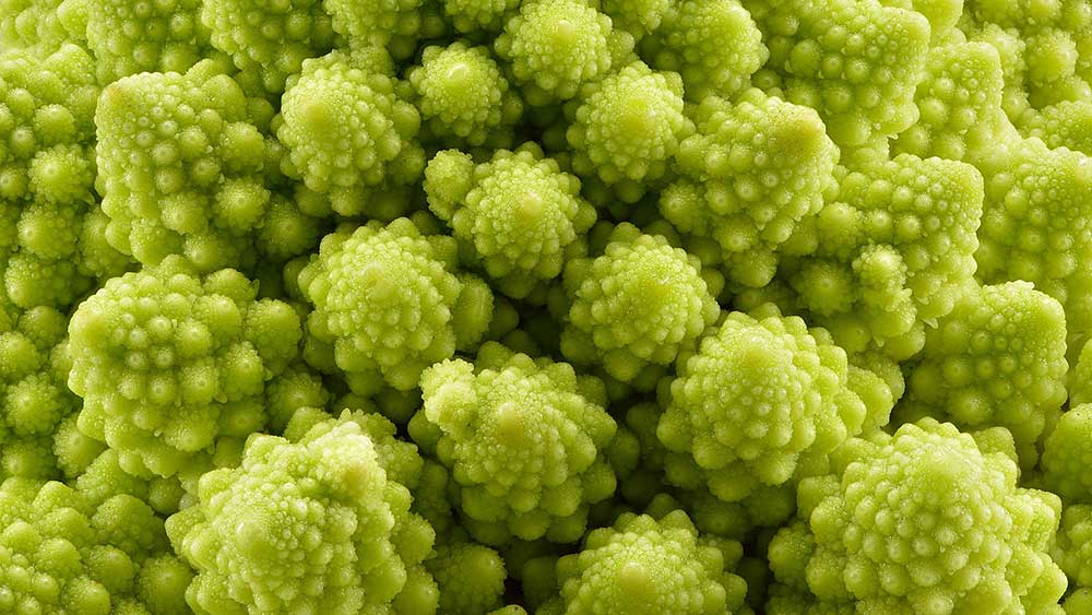  romanesco by Vitoria Huertas de Olarizu