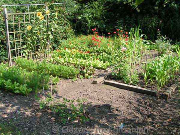 Een biologische tuin