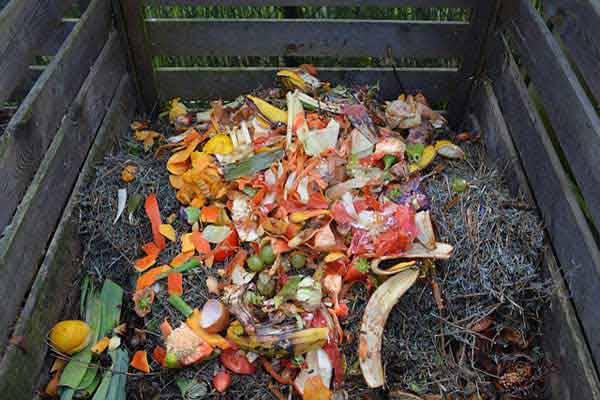 Goed verteerde compost